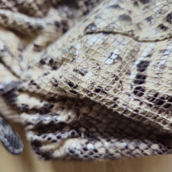 Michael Kors Snakeskine Purse - Picture 7 of 12